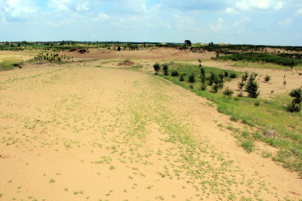 Vegetation condition in 2013 forest, taken on 2015.7.3